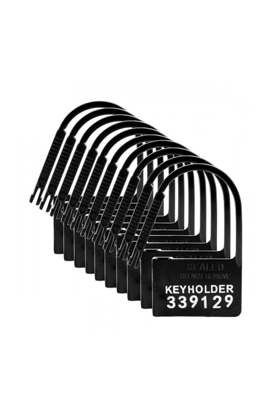 Keyholder Nummerierte Plastik-Schlösser - 10 Stück